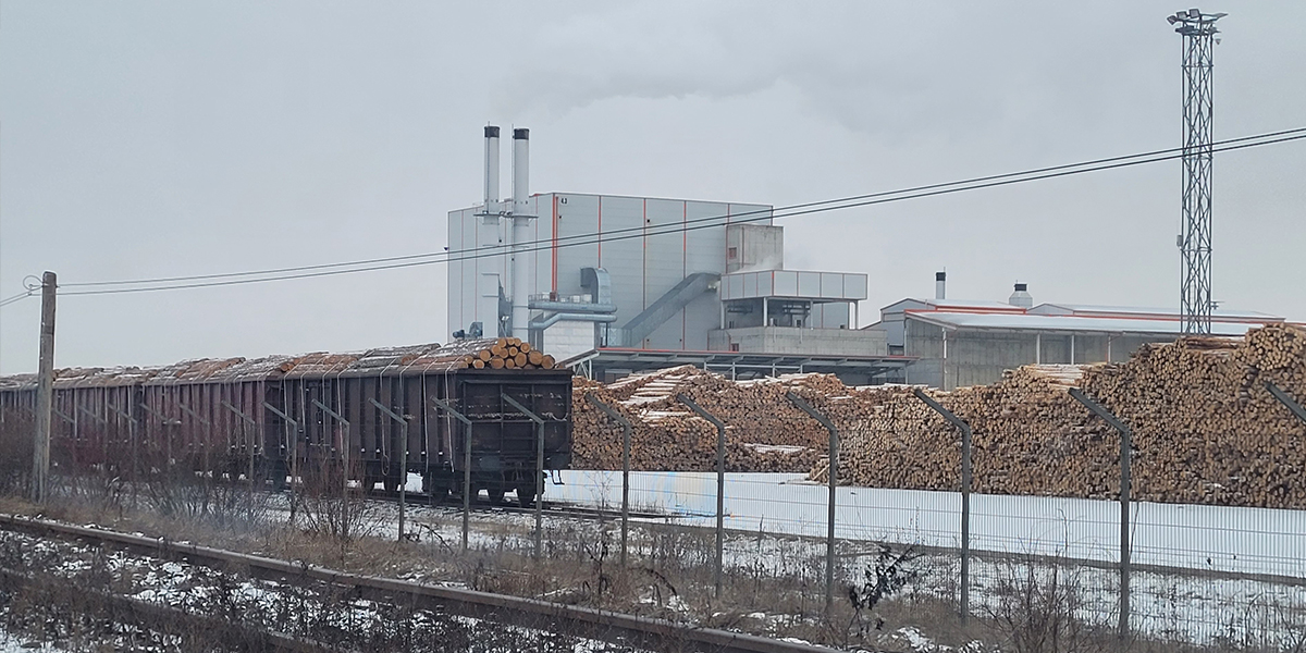 Erorile umane și materiale ”băgă în bucluc” Holzindustrie Schweighofer